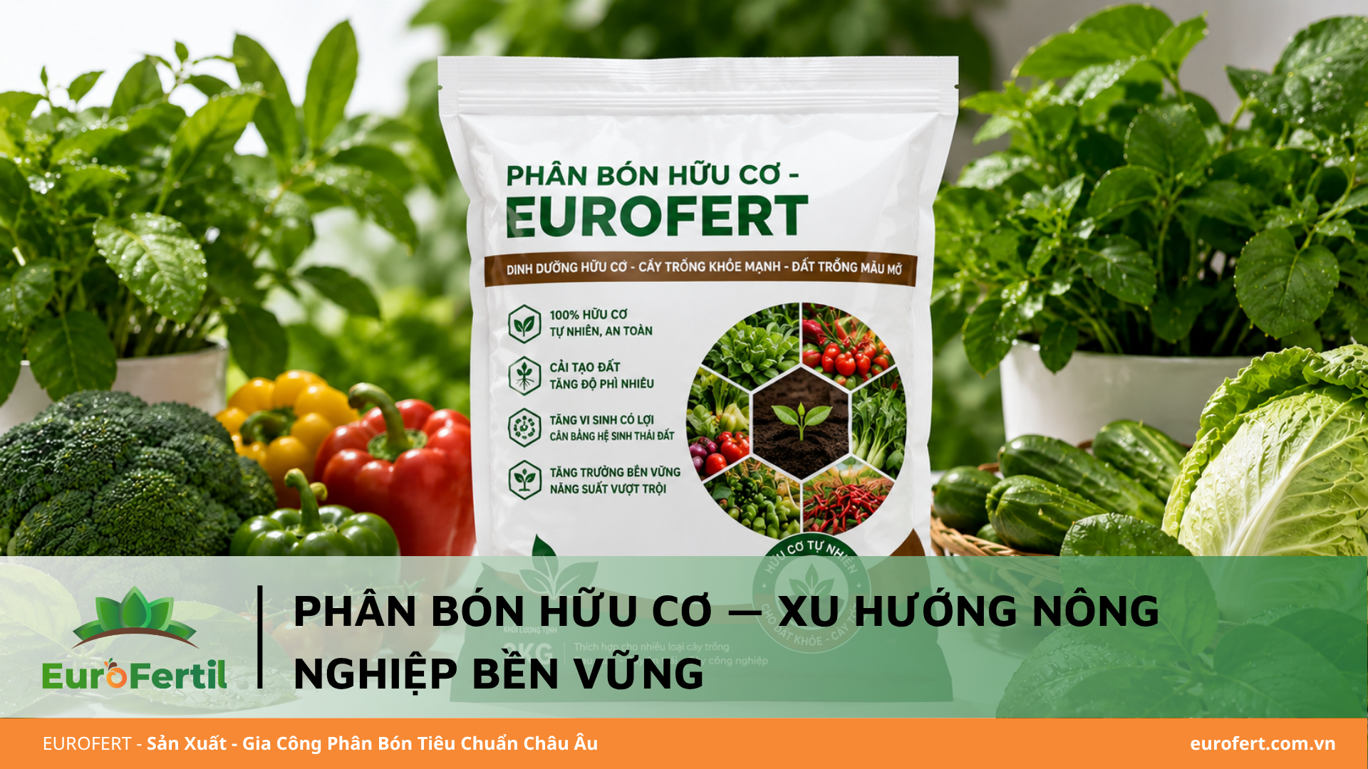 Gia Công Phân Bón Hữu Cơ & Sinh Học — Đón Đầu Xu Hướng Nông Nghiệp Sạch
