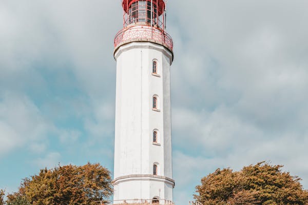 Vườn cây ăn trái