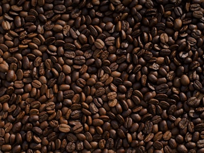 Phân bón hữu cơ