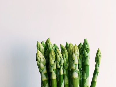 Phân bón hữu cơ